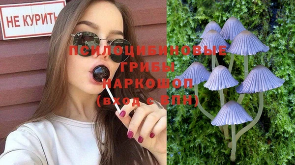 не бодяженный Вяземский